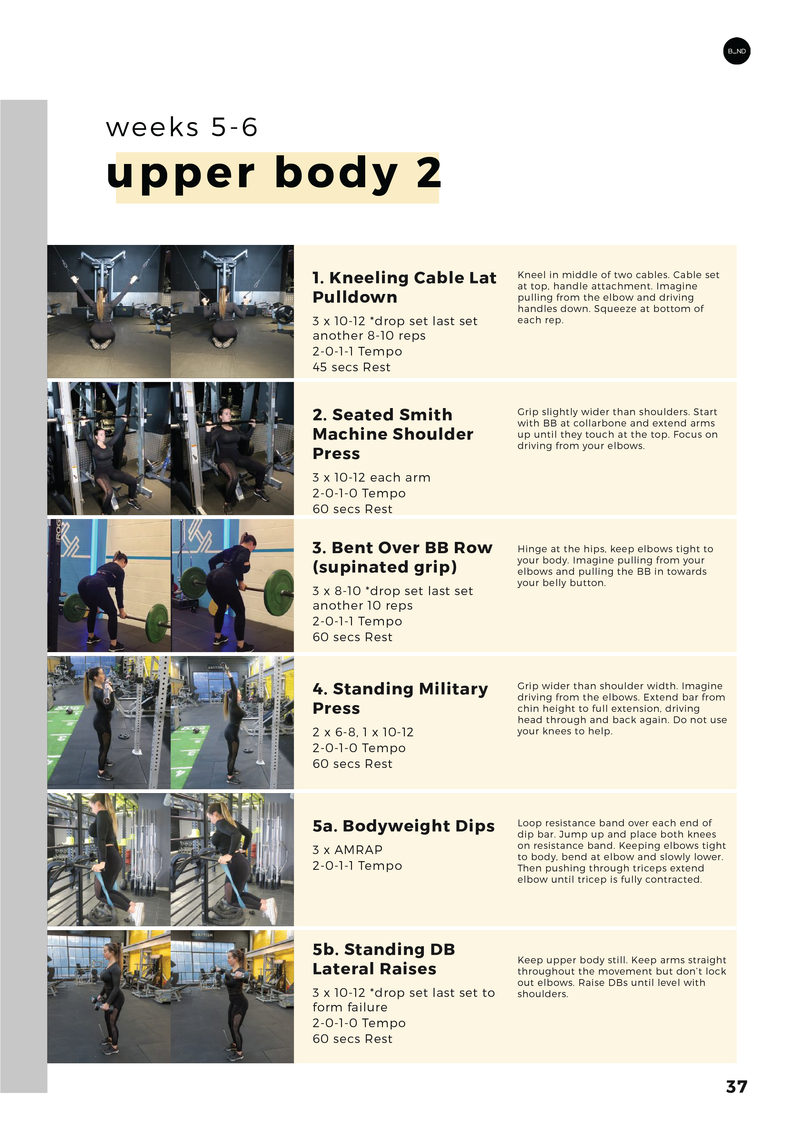 Gym workout guide pdf